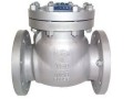 check-valves-in-kolkata-small-0