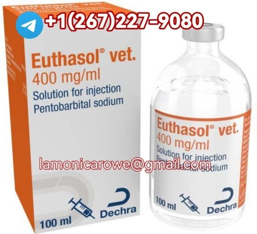 telegrm12672279080buy-sodium-pentobarbital-injection-400mgml-in-nottigham-birmingham-manchester-and-liverpool-england-uk-big-0